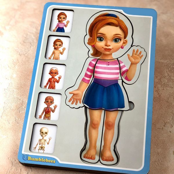 Сортер багатошаровий дерев'яний: "Анатомія людини – дівчинка". (Дерев'яні пазли для дітей)